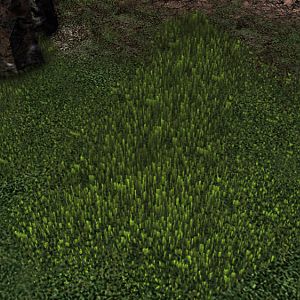 SC2 Conversion VolumetricGrass 21