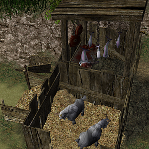 A butcher near a small village. He specializes in fish and goat meat.