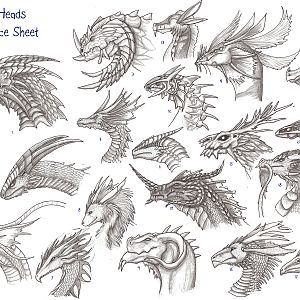 archir dragon heads reference sheet