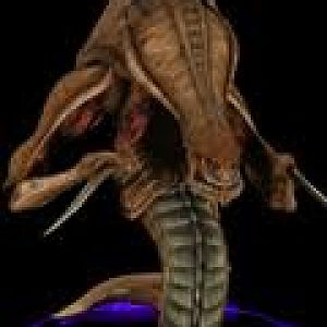 zerg1