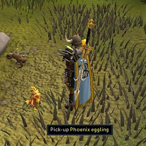 After completing the Phoenix Lair on the 87th day of attempt, I finally acquired the rare phoenix eggling pet. :D

Out of the cute or mean options,