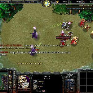 The two armies fend of the Undead Scourge!