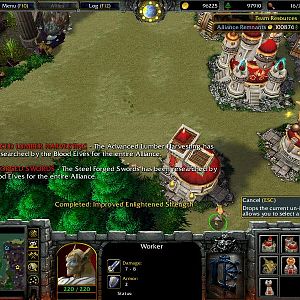Blood Elven Structures and Units. Some researched upgrades are also valuable to the Alliance and quite sharable.