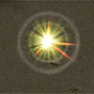 Devestation Envoy Minigif