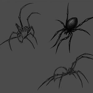 Black Widow