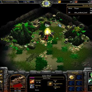 WC3ScrnShot 012409 020212 09