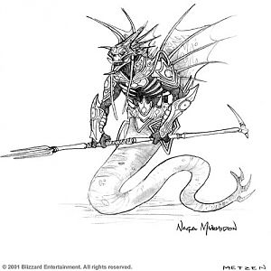 naga art