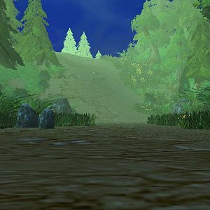 The forest Road 2