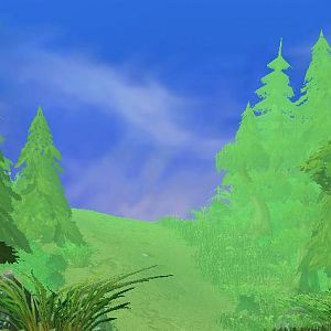 The forest Road 1