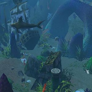 Shark 1