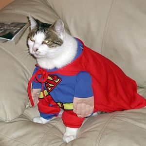 Superkitty