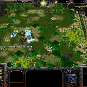 WC3ScrnShot 020109 203559 01