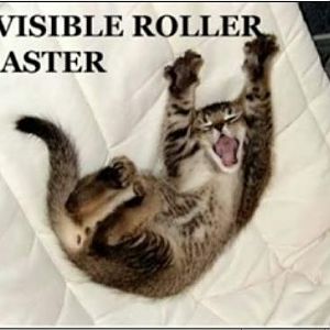 invisible roller coaster