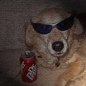 DrPepper Dog