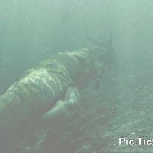 pic02995