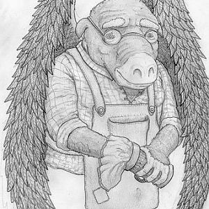 Gyro Redesign WiP 2