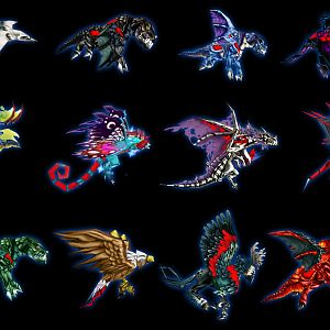 birds
