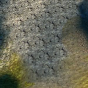 Terrain 002