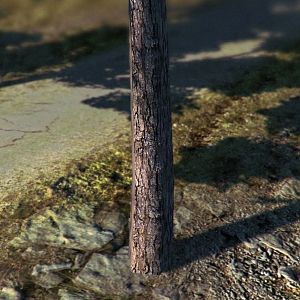Terrain Concept 15