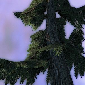 Terrain Concept 17