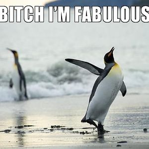 Bitch im fabulous.