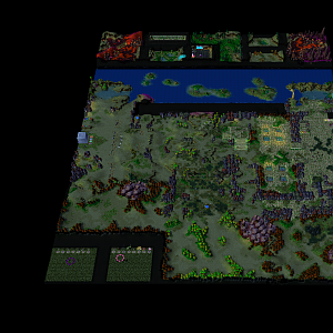 New Overview