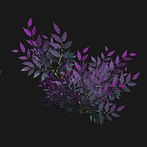 magictree