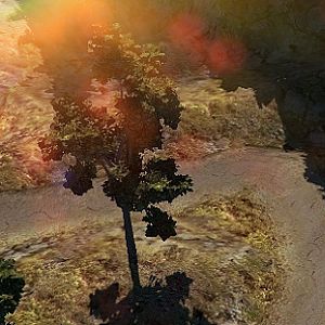 Terrain 014
