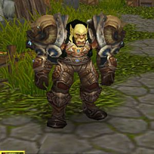 Class: Arms Warrior