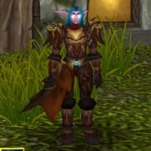 Class: Marksmanship Hunter