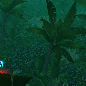 Jungle1