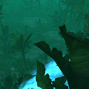 Jungle2