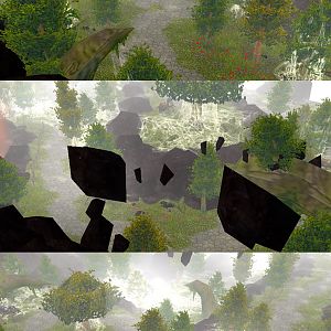 Darkfang Forest