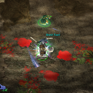Here is a screenshot of Glainor's shield being fixed. Glainor uses his shield to prevent taking any damage to his hit points. His mana acts as his shi