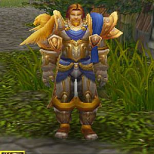 Class: Protection Paladin