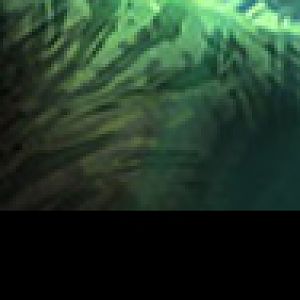 Banner: Features