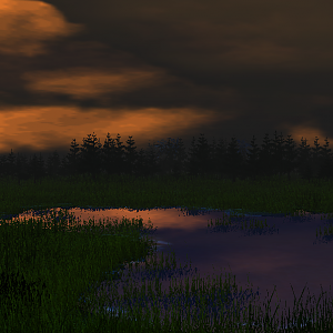Dawn .