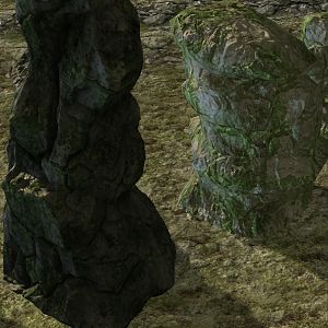 Terrain 015