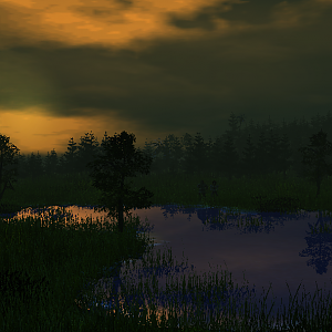 Grassland