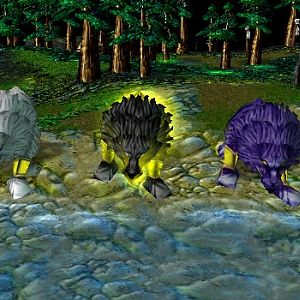 Wolves