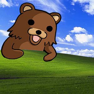Pedo Window
