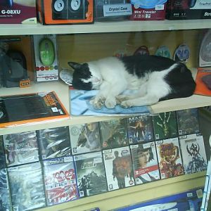 Yes, that's a cheap mousepad, with a cat on it.