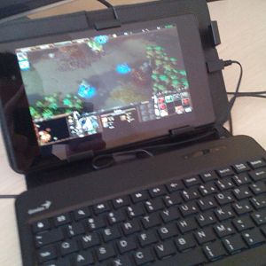 WC3 on a Nexus 7 biatch.