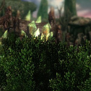 Bush Tech 01