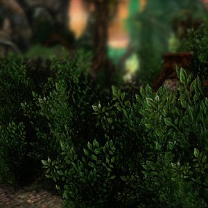 Bush Tech 02