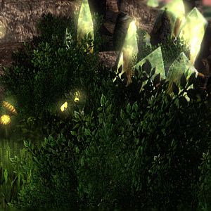 Bush Tech 05