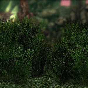 Bush Tech 06