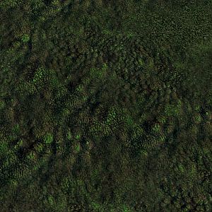 Tiles Gen 01