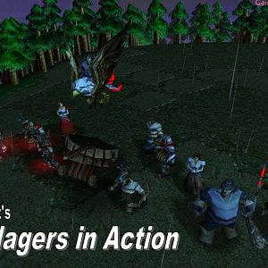 Villagers in Action