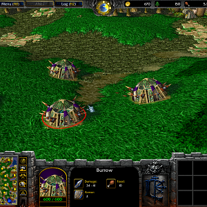 RuinsBurrow